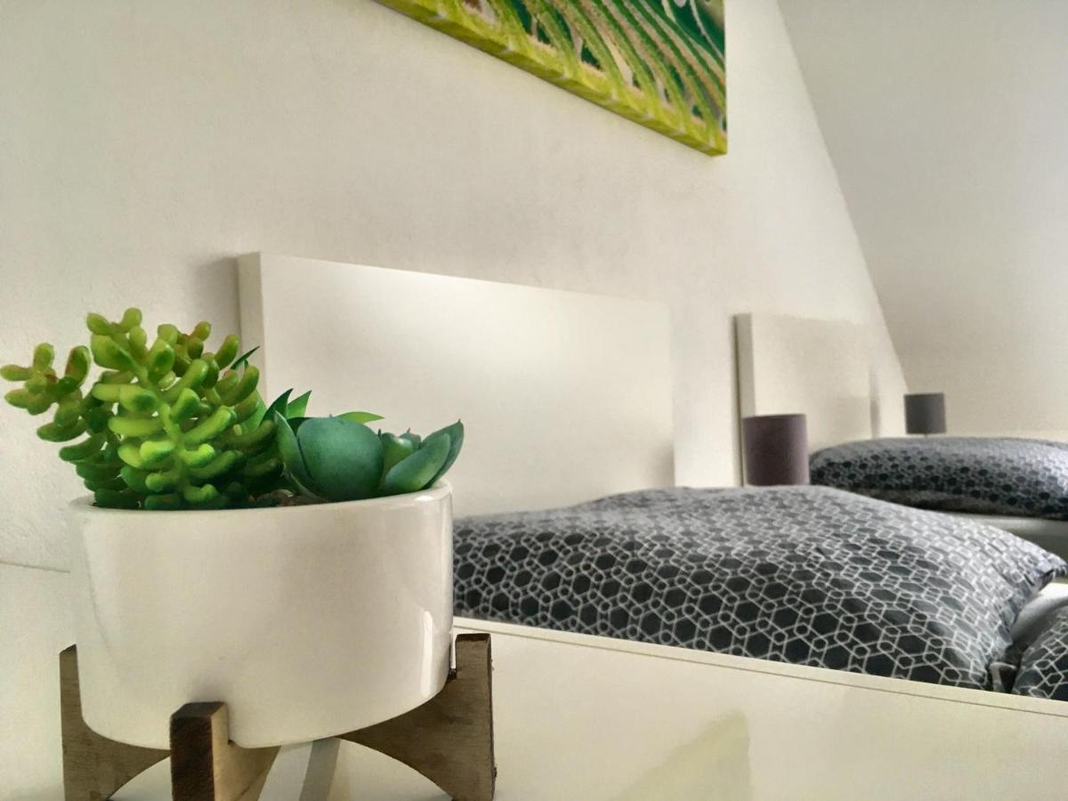 Stay!Apart Gieckau Naumburg  Luaran gambar